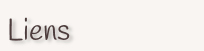 Liens